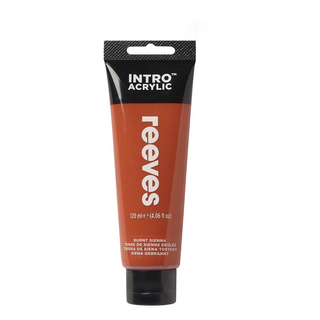 （1）Reeves Intro Acrylic Colour 100ml &120ml Tube / 24 Colour Full Range