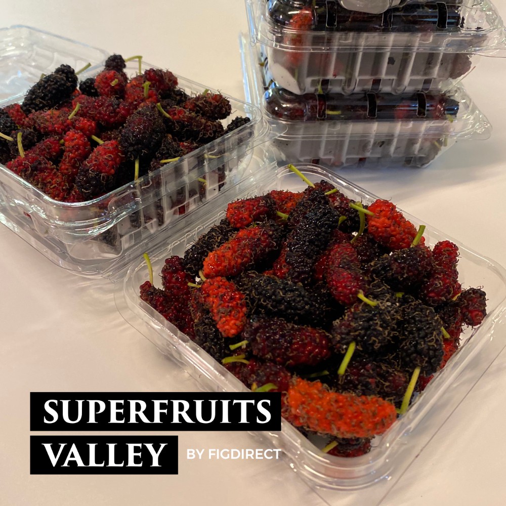 Fresh Mulberries [100g] KL & PJ Area Only Shopee Malaysia