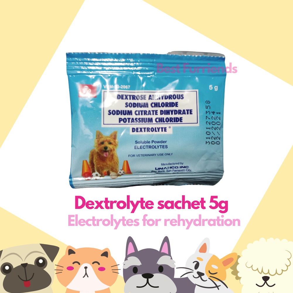 Dextrose Powder Dextrolyte Sachet 5g for Pet Dogs & Cats Electrolytes