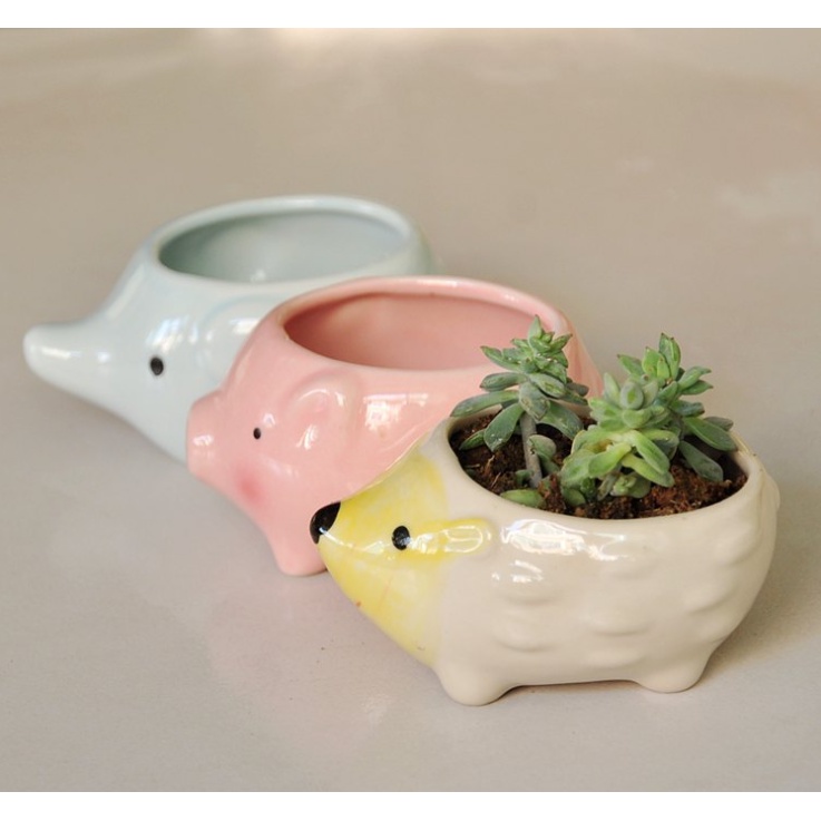 【Ready Stocks】 Cute Animal Mini Ceramic Succulent Pot, Ceramic Cactus