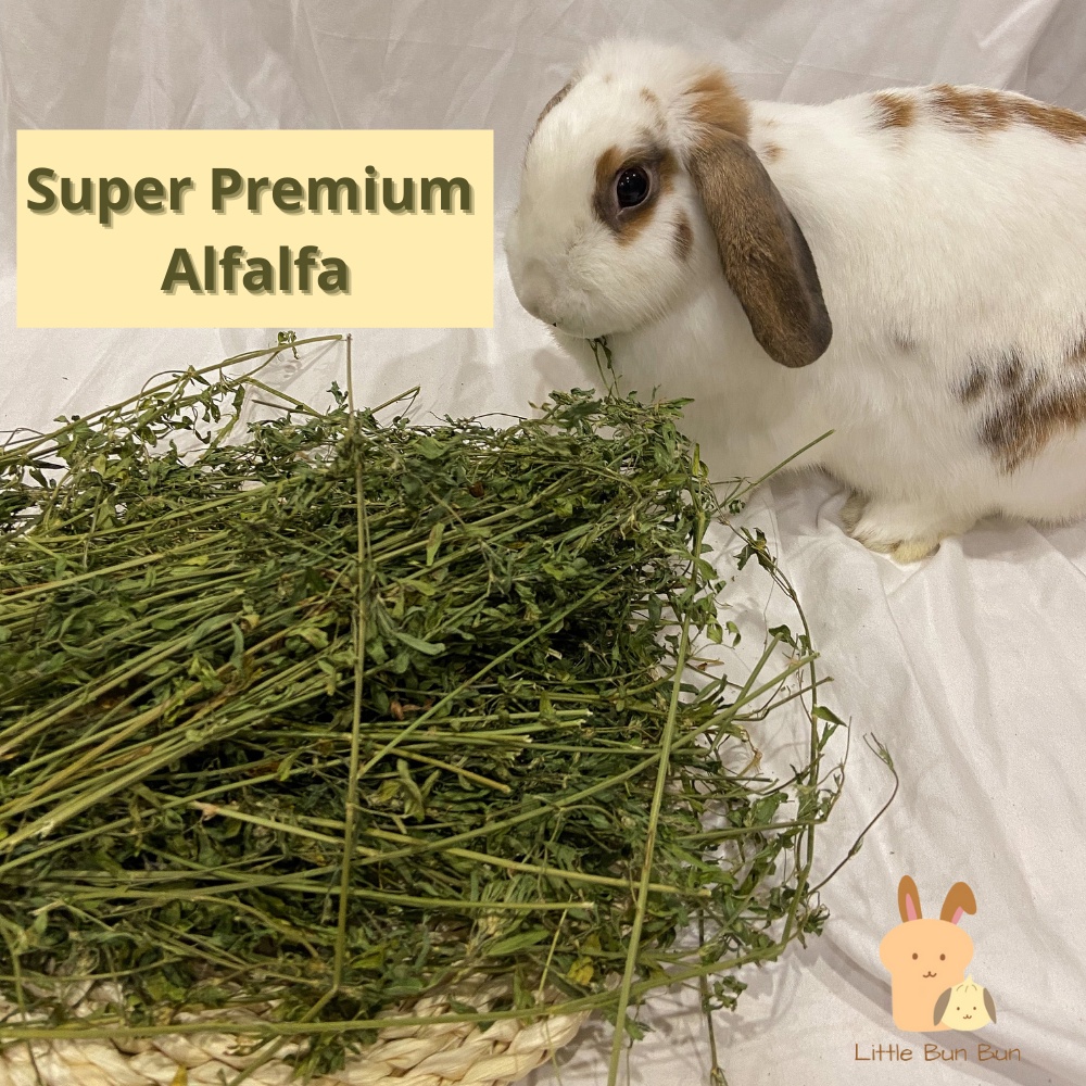 Super premium alfalfa hay🍃 dry rabbit chinchilla guinea pig food grass