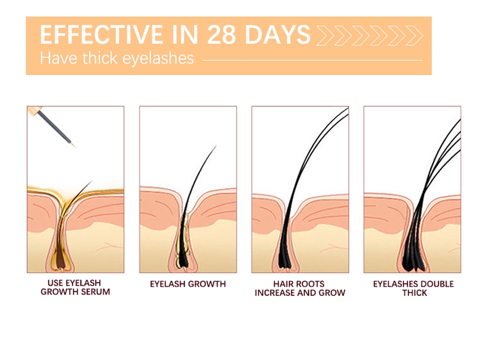 ibcccndc Eyelash Growth Enhancer Serum (5ml) Shopee Malaysia