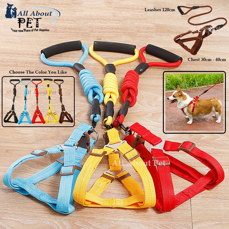 Pet Dog Leash Adjustable Durable Dog Walking Leash Puppy Small and