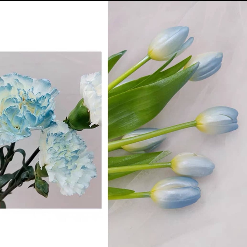 Floral Color Spray Flower Coloring Spray Pewarna Bunga 鲜花喷色剂 450ML