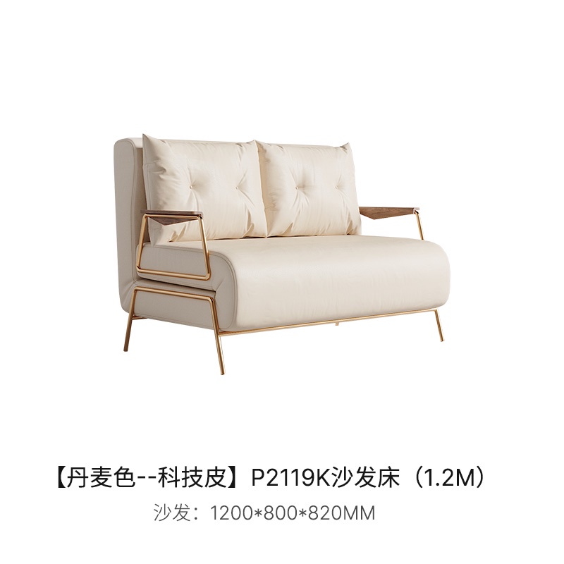 Nordic Light Luxury Single Sofa Bed Small Apartment Living Room