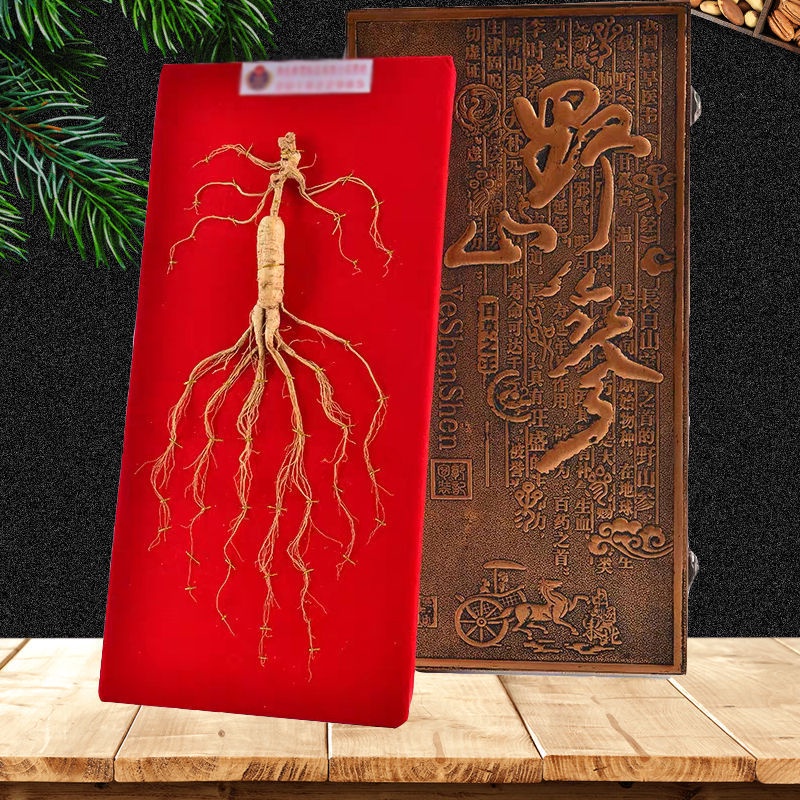 Changbai Mountain Northeast Ginseng Ginseng in Forest Wild Ginseng