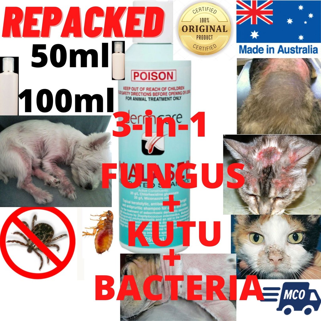DOG SHAMPOO MEDICATED MALASEB FUNGUS,TICKS,MITES,KUTU,KURAP,FLEAS
