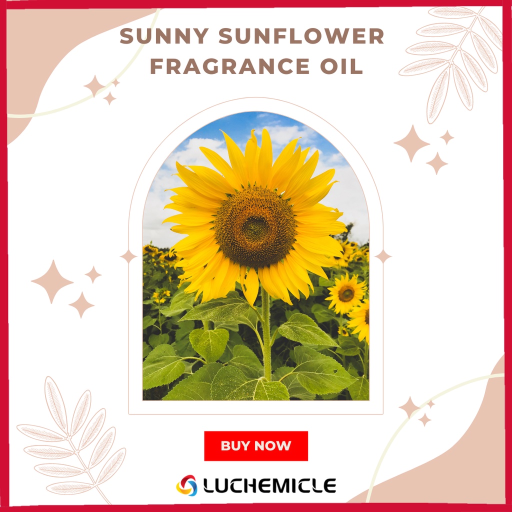 Sunny Sunflower Fragrance Oil (100 ml) Shopee Malaysia