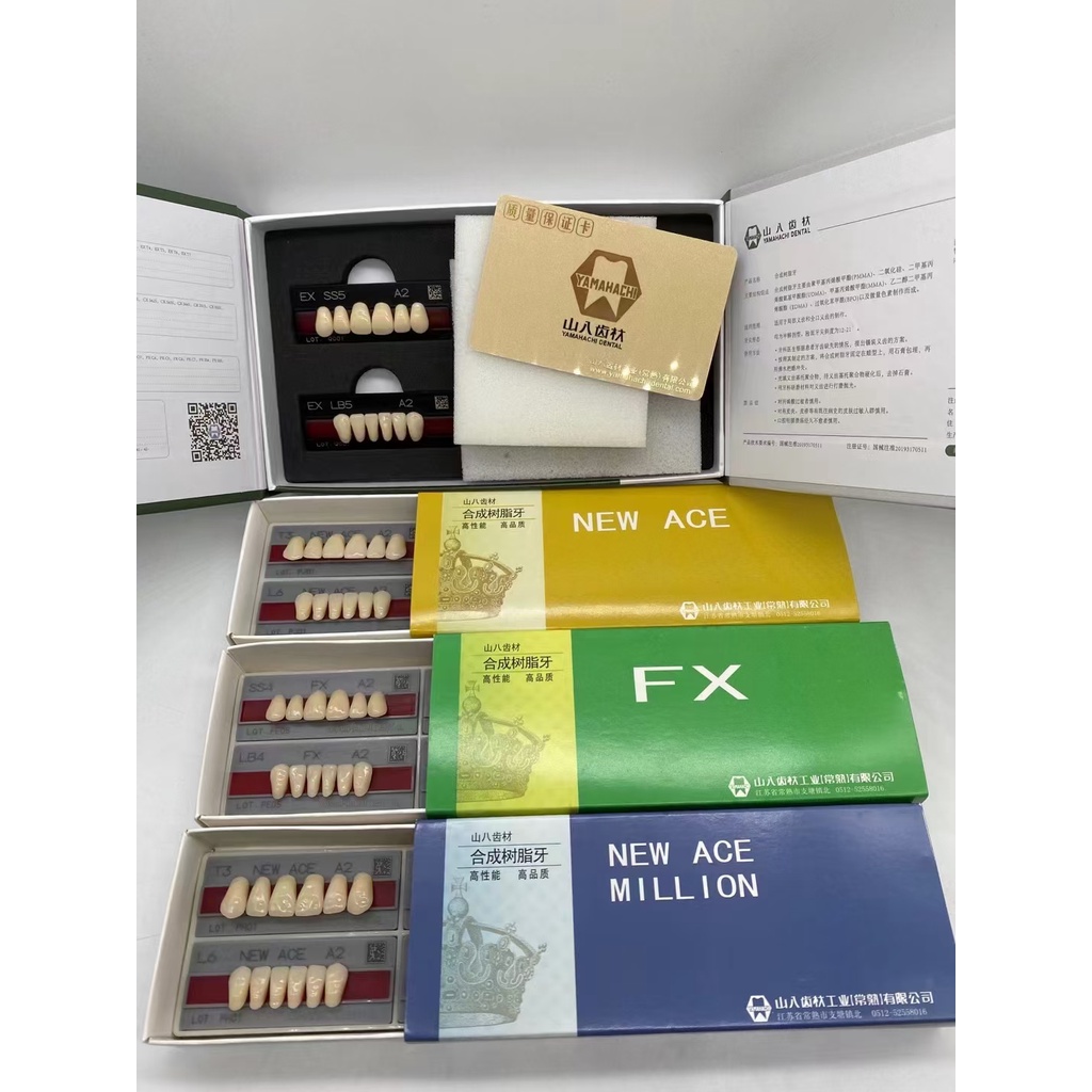 Yamahachi dental artificial resin teeth new ace fx ex Shopee Malaysia