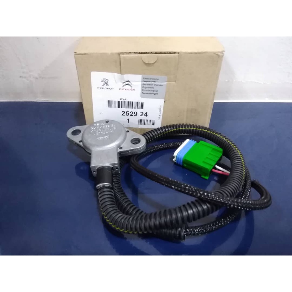 Peugeot 206 207 208 307 406 D9 407 408 2.0 807 Citroen Xsara Picasso C3