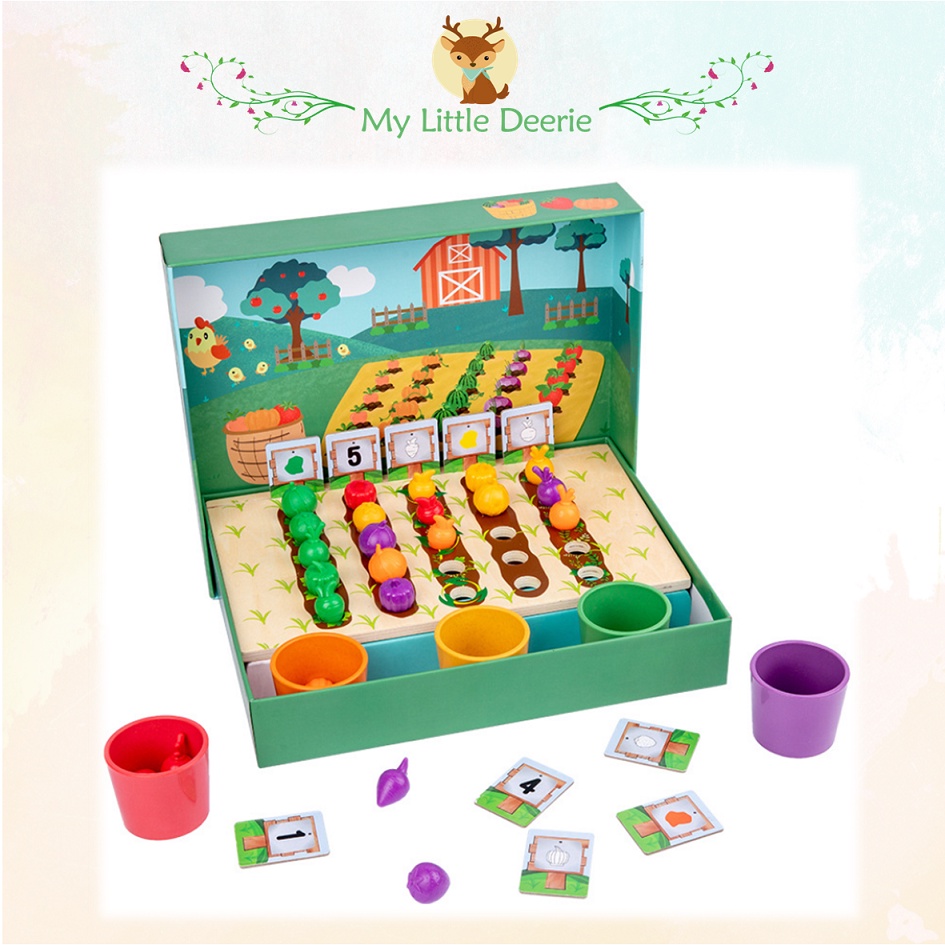 Fruits & Vegetables Farm Colour Sorting Cups Early Learning Numbers