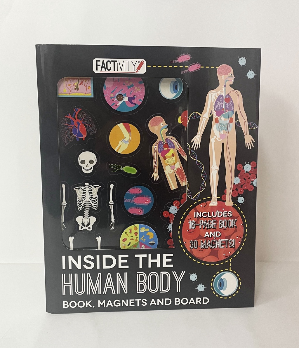 Factivity Human Body Book Folder With & Board For Kids to Learn