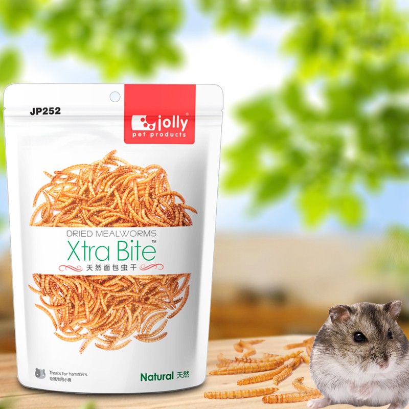 (CityPets) Jolly Xtra Bite Dried Meal Worms 30g Treats for Hamster