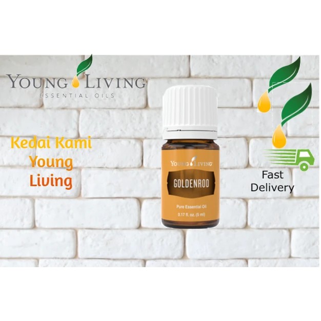 Young Living YL Goldenrod Essential Oil 5ml Oil Level 5070
