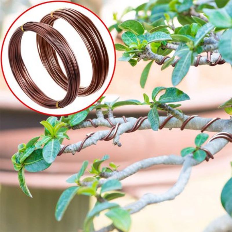 BRONZE COLOR ALUMINIUM BONSAI GARDENING WIRE 100g Shopee Malaysia