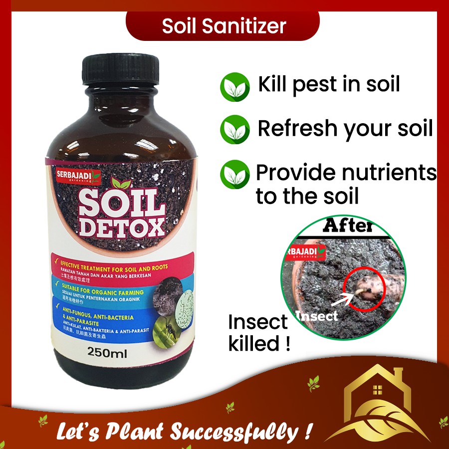 (Kill the pest in the soil) Soil Detox / Soil Sanitizer / Soil Cleaner