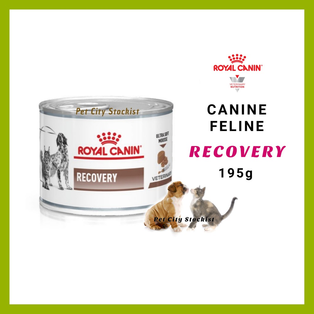 22/07/2024 ( Clearance ) 1 Can Recovery Ultra Soft For Cat/Dog 195g Can