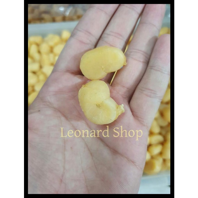 Wooww SCALLOP DRY SEAFOOD DRIED GANBEI Shells CONPOY DRY SEAFOOD 100GM