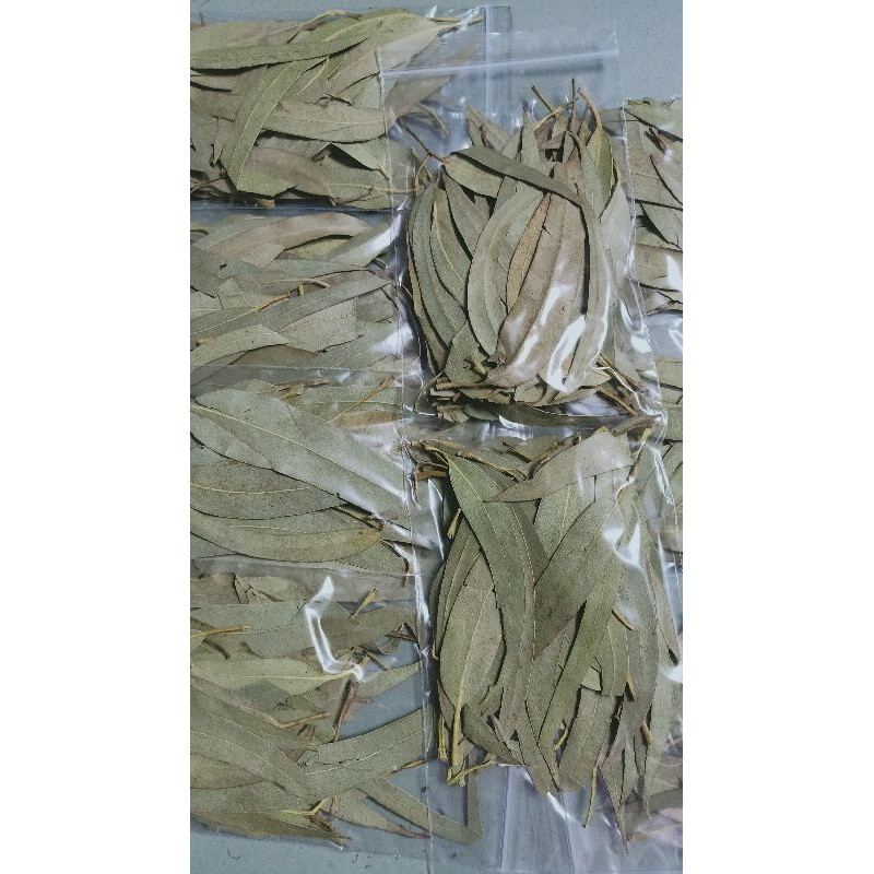 100 Original sugar glider Dried Eucalyptus Leaves Shopee Malaysia