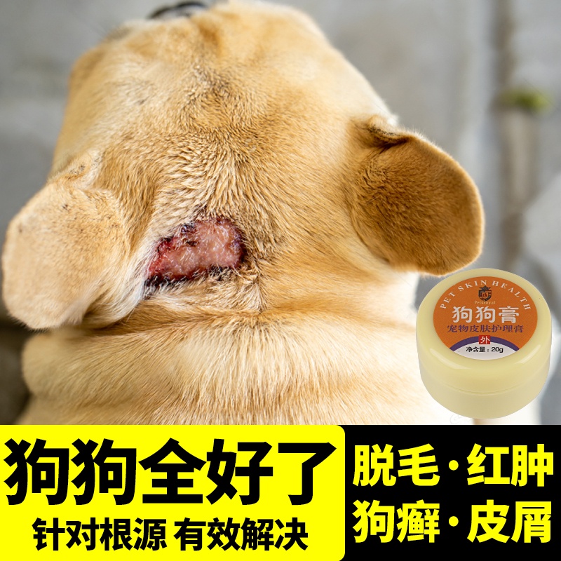 Dog Skin Disease External Use Ointment Treat Dogs Eczema Dermatitis