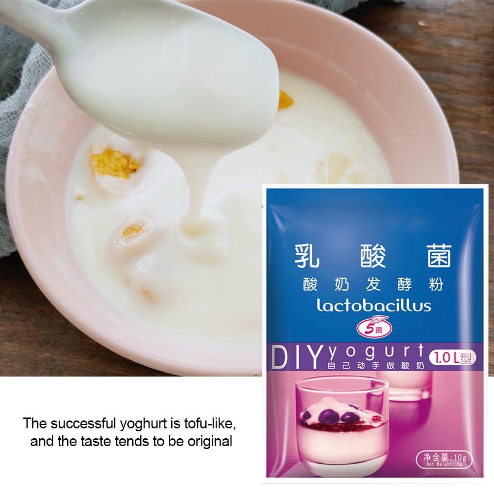 Yogurt Starter Powder / Dried Yoghurt Starter / Serbuk Kultur Yogurt / 酸奶菌 (1G) Shopee Malaysia