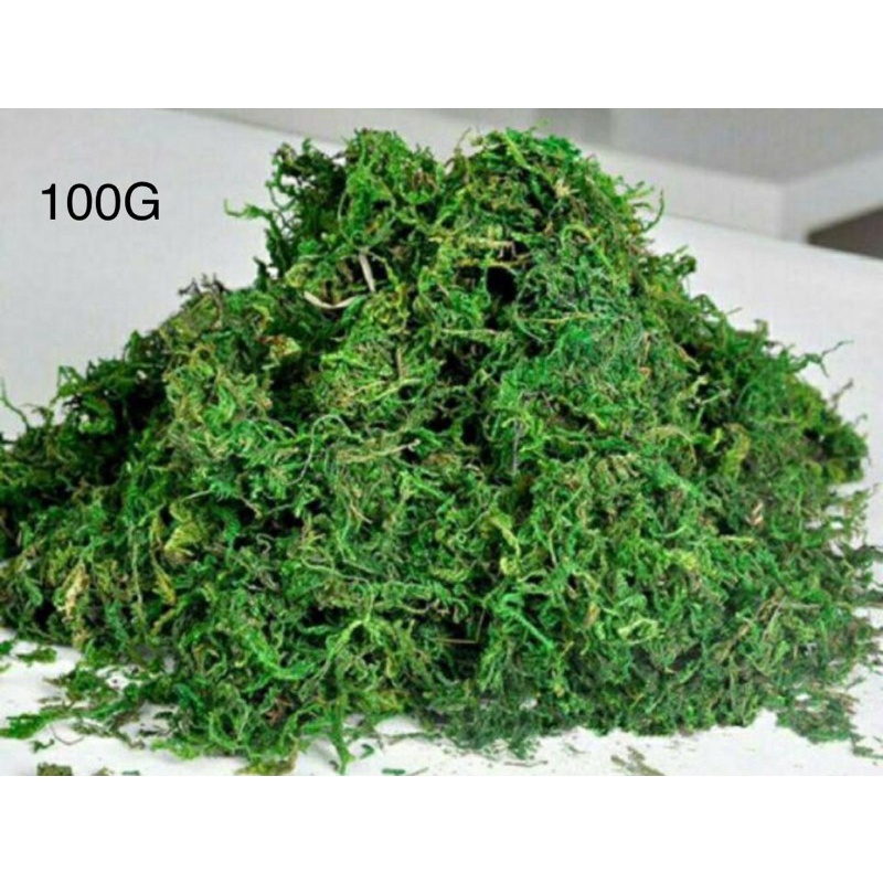 Artificial Moss Stone/ Artificial Flower Moss/ Craft Glue/ Batu /Lumut