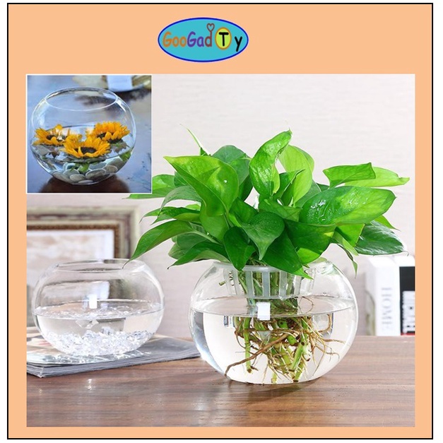 Round Glass Vase Indoor, Hydroponic Flower Vase, Mini Round Fish