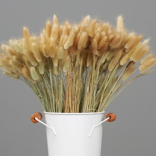 30pc Bunny tail Dried Flower Rabbits Tail Dry Flower Bouquet Branch