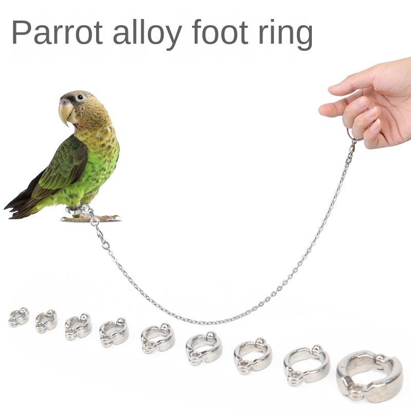 Stainless Steel Parrot Leash Chain Threaded Bracelet Alloy Foot Ring