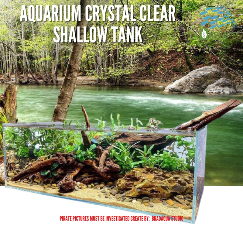 AQUARIUM Fish Tank Crystal Clear Tank Shallow Tank 30CM/ 36CM/ 40CM