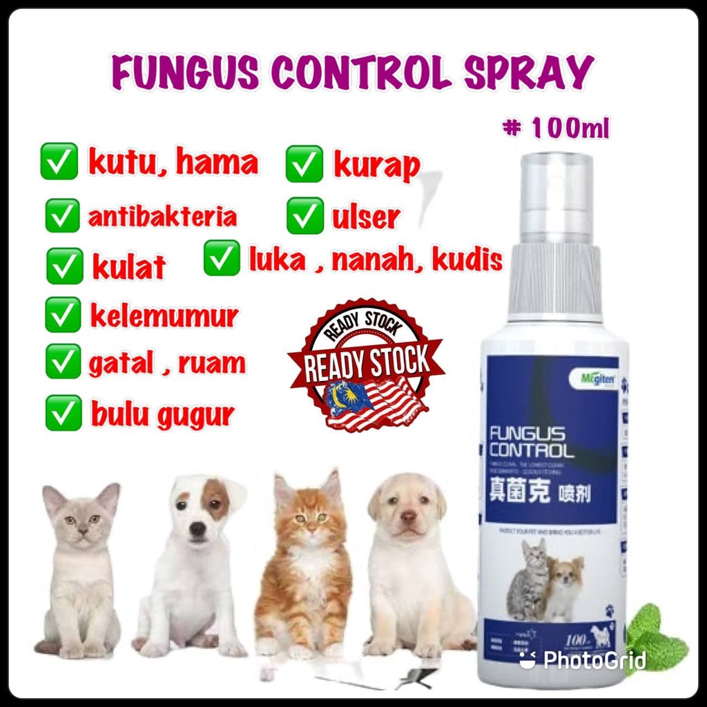 Spray Kurap Luka Kudis Gatal Ruam Kutu Hama Bulu Gugur Kulat Bernanah