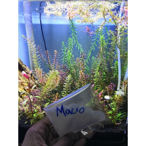 Aquarium Fertilizer (custom dosing available) Shopee Malaysia