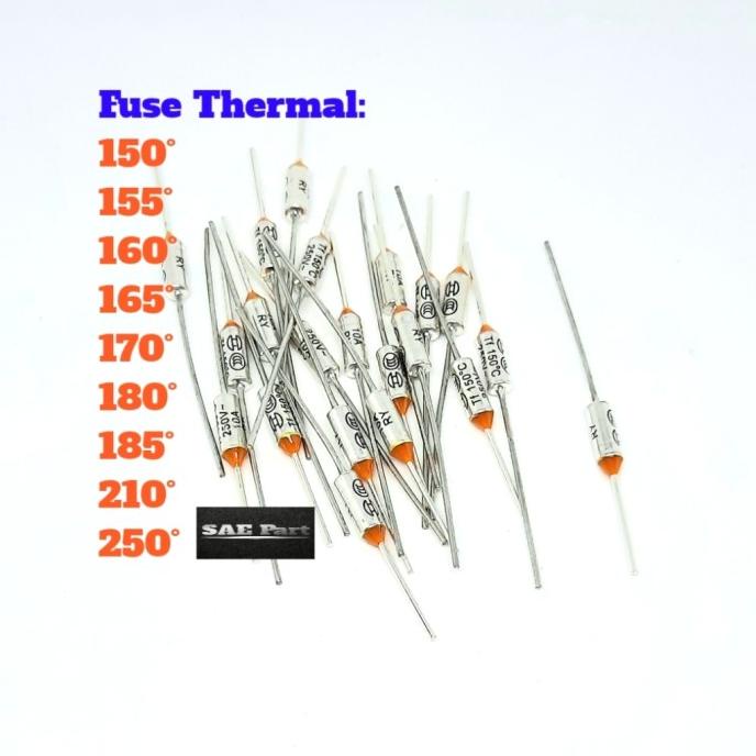 Fuse 10A 250V Rice Shopee Malaysia