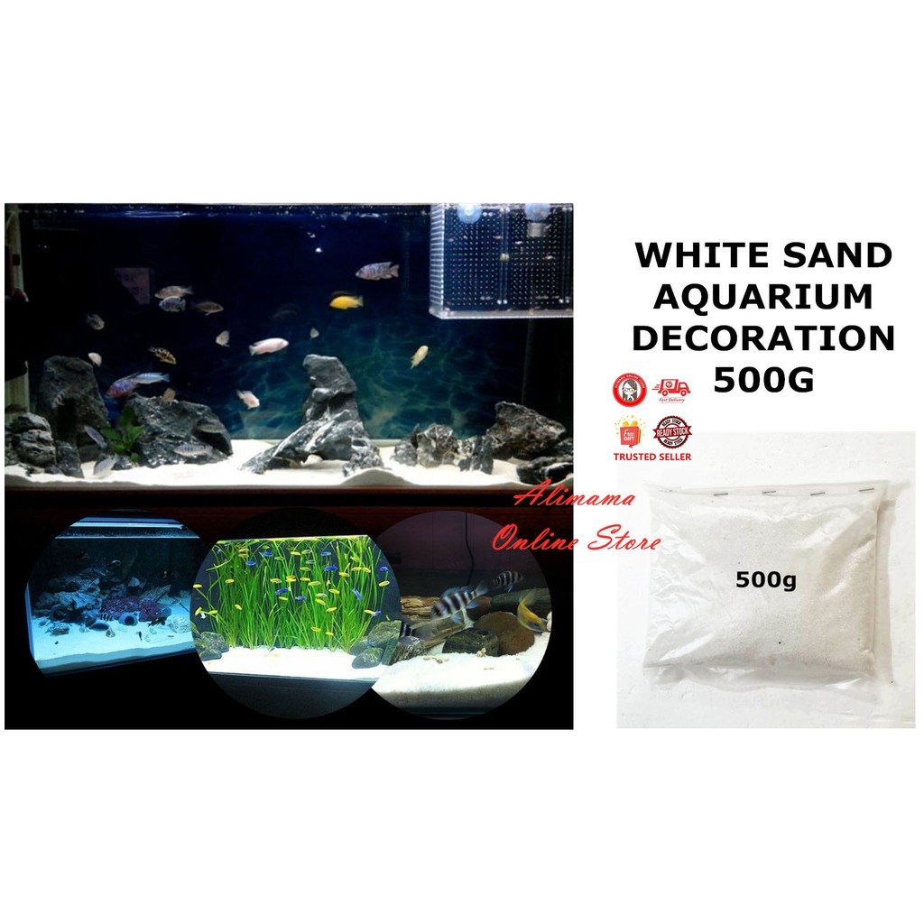 WHITE SAND AQUARIUM DECORATION 500G Shopee Malaysia