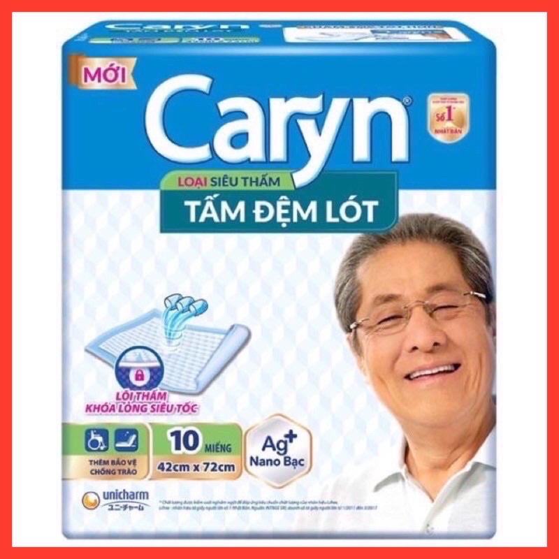 Caryn Pads (Product For Mothers After Giving Birth) Shopee Malaysia