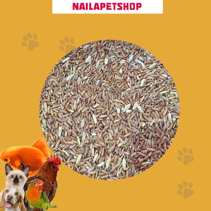 MERAH Brown Rice/Bird Food/Chicken Food/1KG Shopee Malaysia