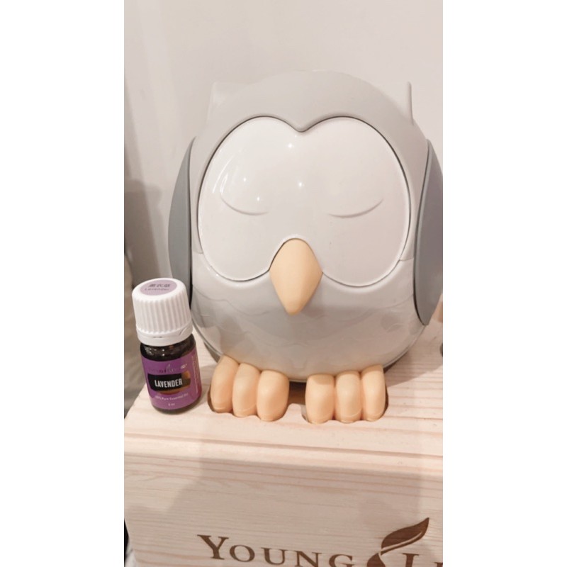 Owl Diffuser Young Living with lavender oil 5ml ready stock Shopee Malaysia
