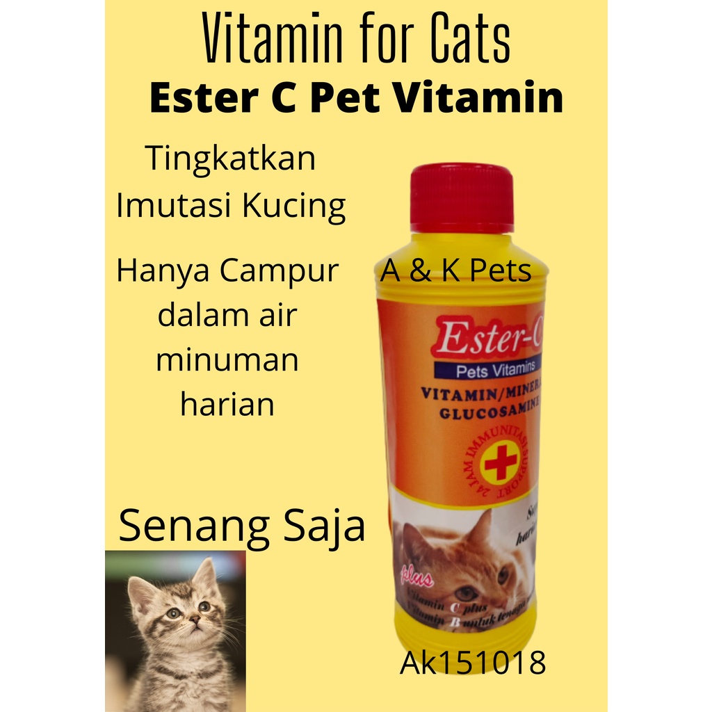 Ester C Pet Vitamin for Cats & Kitten Minuman Harian 200ml Kucing