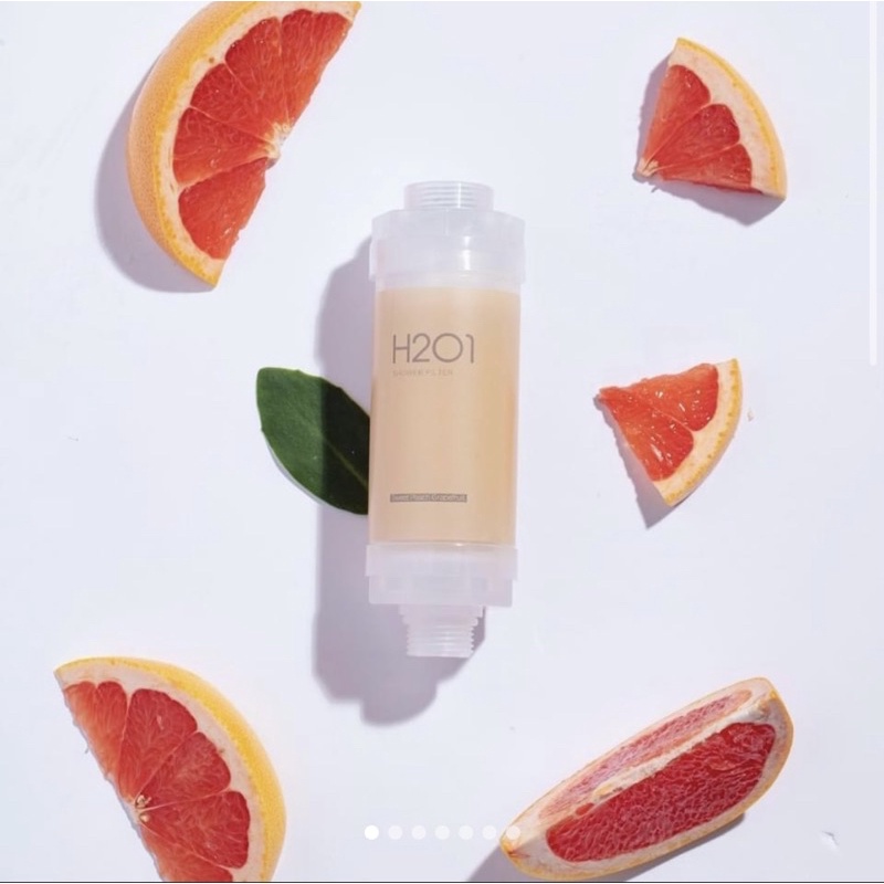 H201 Korea No.1 VitaminC Shower Filter (Feel Clean & Moisture Every