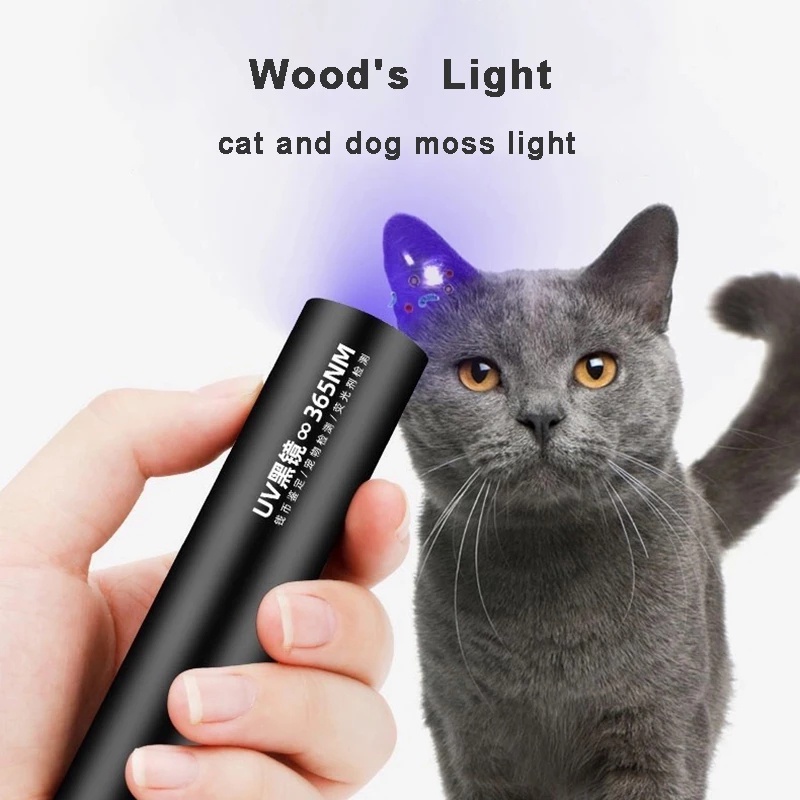 New Lamp Cat Ringworm Detector Flashlight UV 365nm violet light Fungus