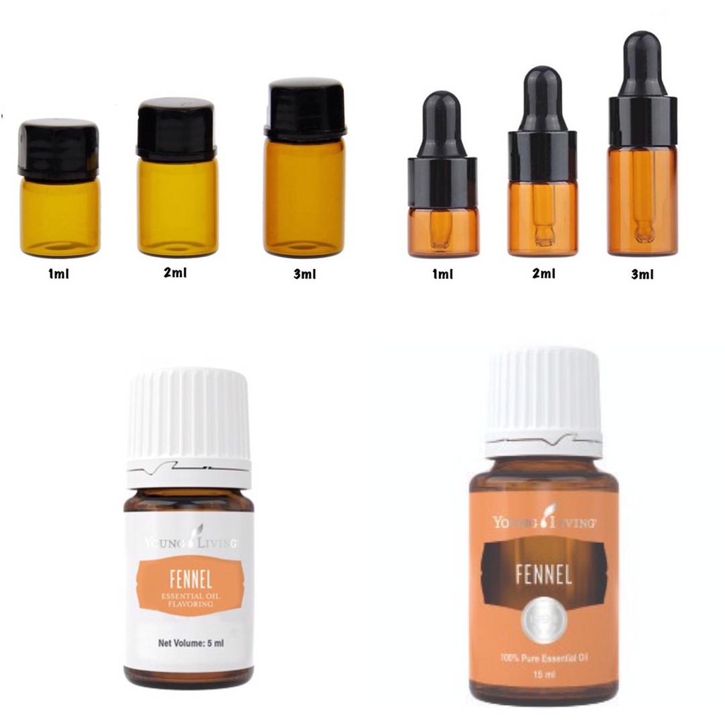 READY STOCK ‼️ Fennel Young Living Essential Oil 💯ORIGINAL 1ml/2ml