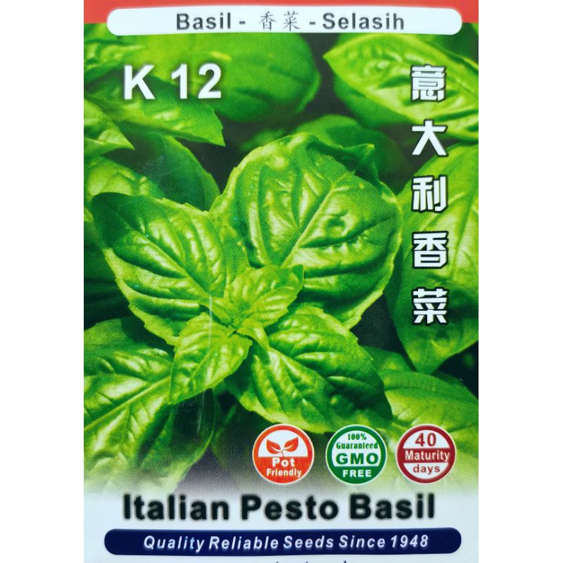 NON GMO Basil Selasih Italian Pesto Basil seeds biji benih seed 1pack