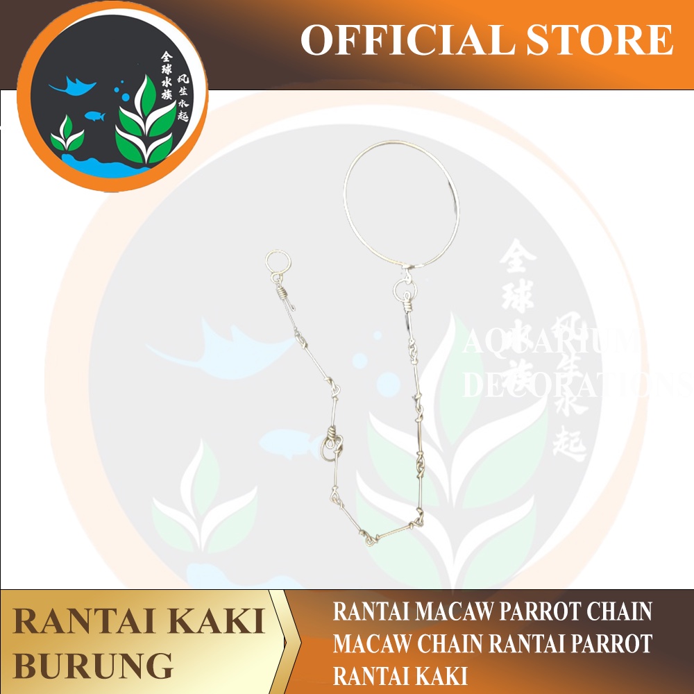 RANTAI MACAW Parrot Chain MACAW Chain Rantai PARROT Rantai kaki Burung