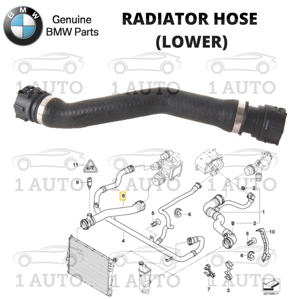 GENUINE BMW PARTS LOWER RADIATOR HOSE BMW E46 318i 2.0 N42 N46 ENGINE