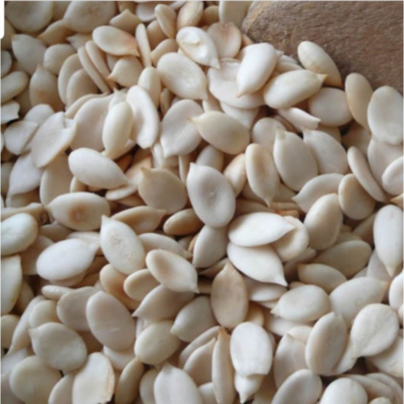 Nigeria Egusi Seed (500g) Shopee Malaysia