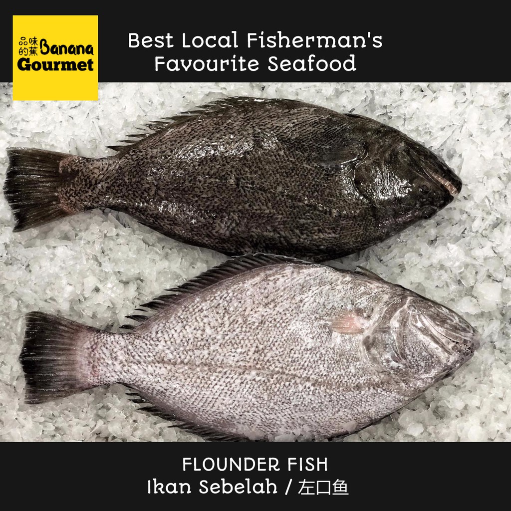 Ikan Sebelah Flounder Fish Whole & Fillet [Fresh Frozen Seafood from Kuala Selangor