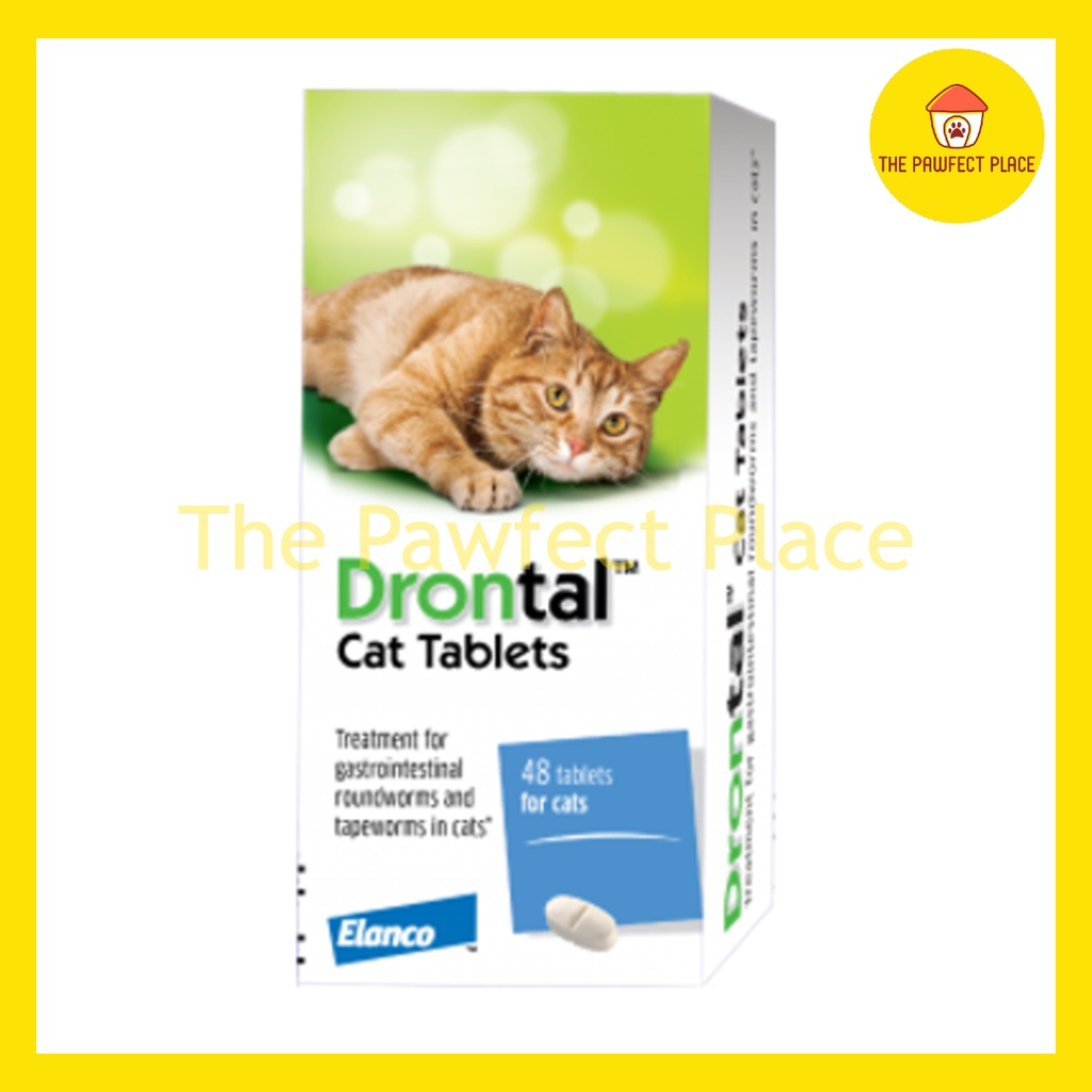 1 Tablet Drontal Cat Deworm Cat Ubat Cacing Kucing Prevention Roundworm
