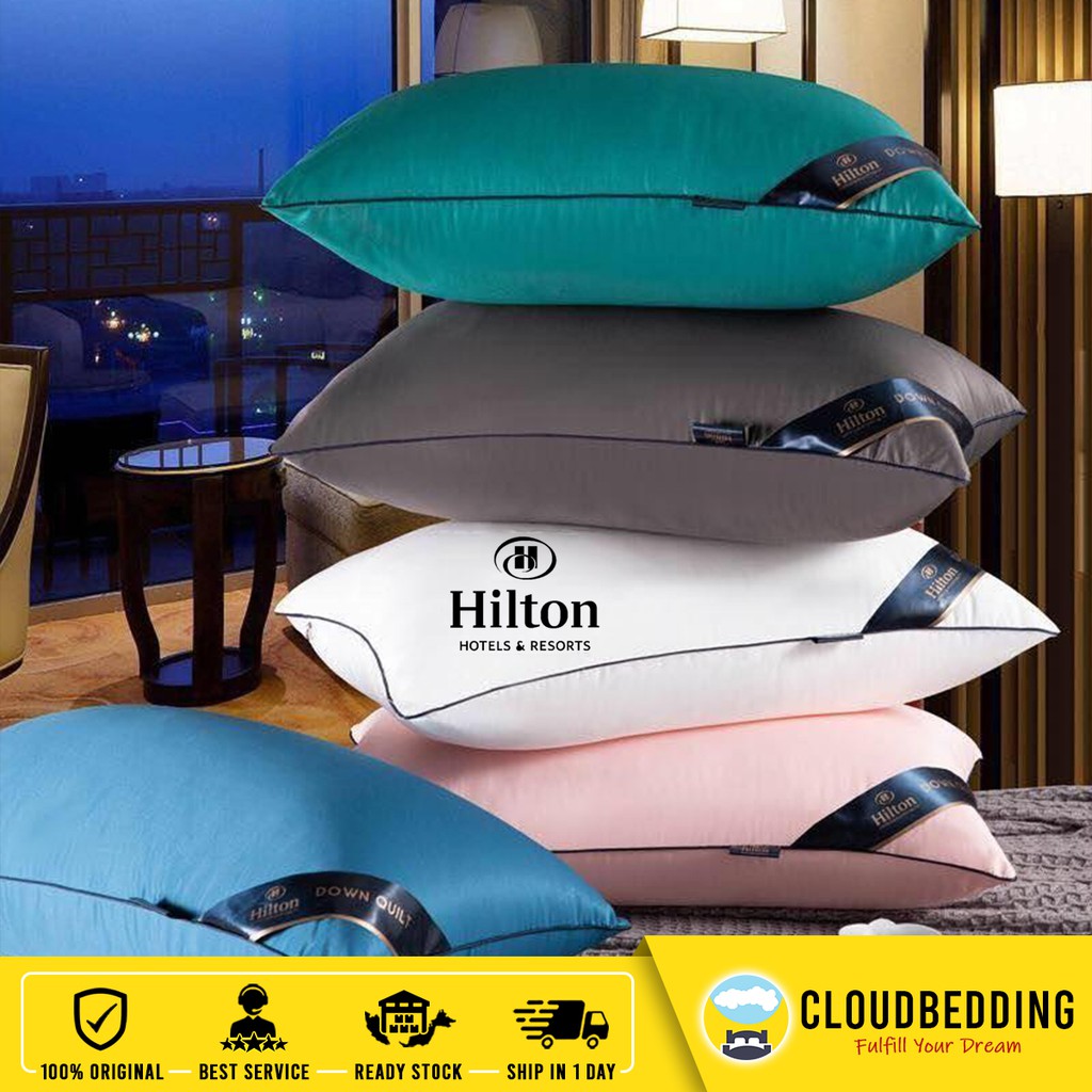 PILLOW HILTON /BANTALHILTON DOWN PILLOW BANTAL HILTON NEW ARRIVALS