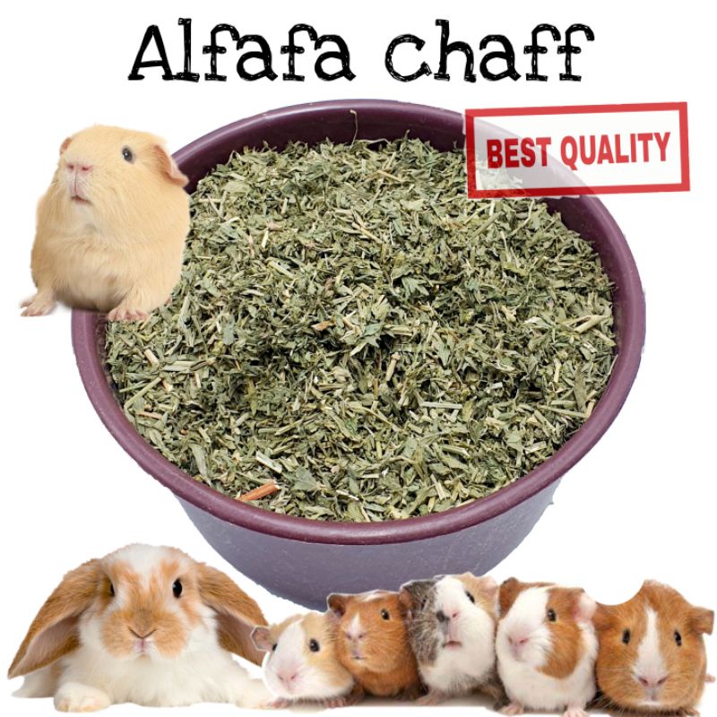 Alfalfa chaff hay timothy rhodes grass 1kg imported quality rabbit