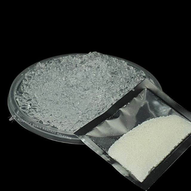 Dubia Roaches Crystal Gel (Water Source) Shopee Malaysia